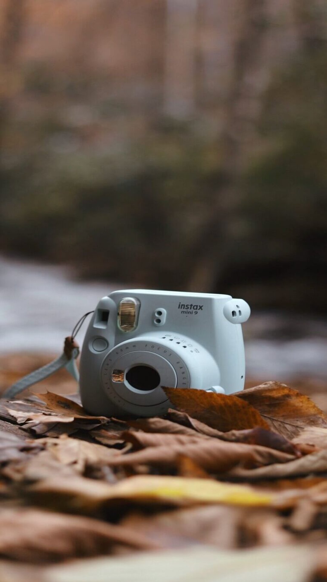 hd, autumn, Technology, camera